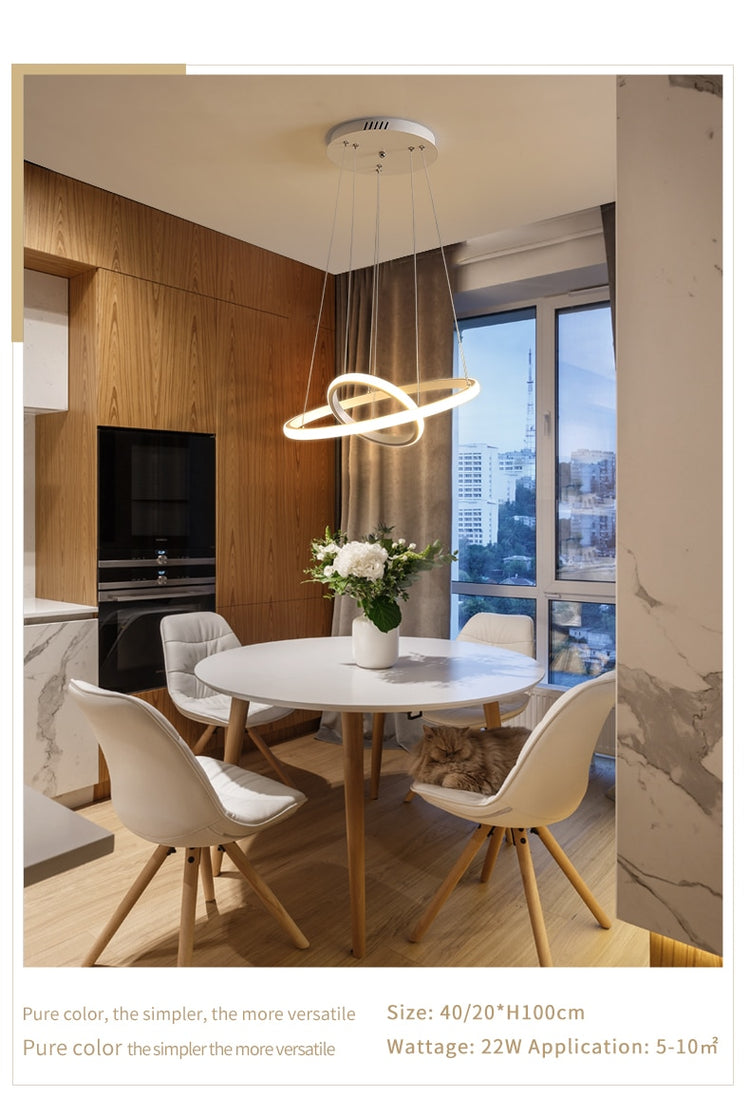 Indoor Modern Circular Ring Chandelier