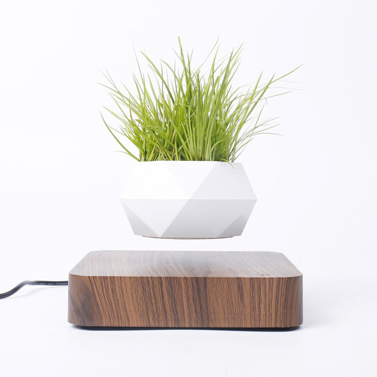 BonsAir™ LuxoSr - Floating Plant Pot