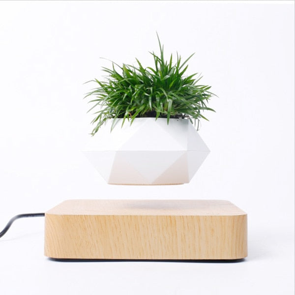 BonsAir™ LuxoSr - Floating Plant Pot