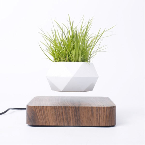 BonsAir™ LuxoSr - Floating Plant Pot