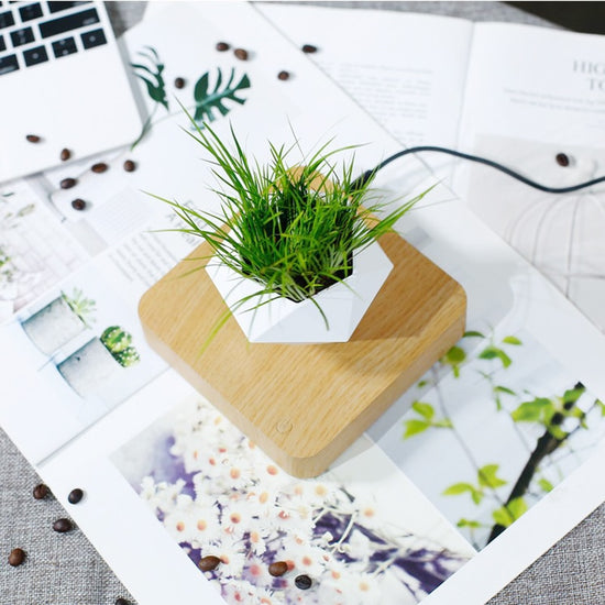 levitating plant pot in india luxosr